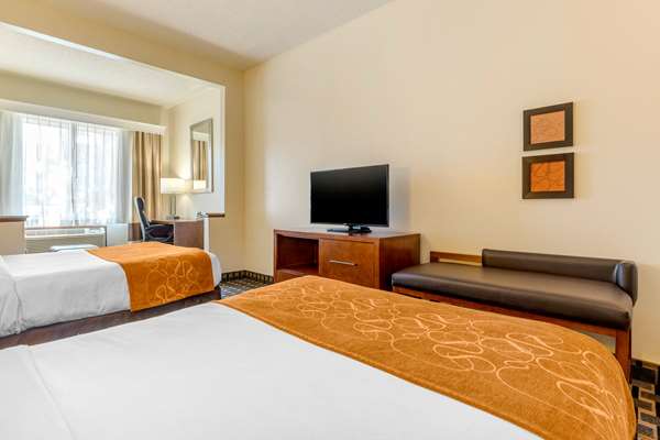 Suite - Comfort Inn Summerville - I-26, Exit 199A