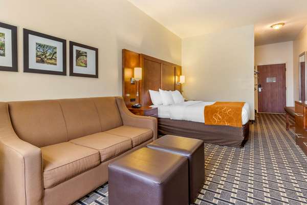 Suite - Comfort Inn Summerville - I-26, Exit 199A