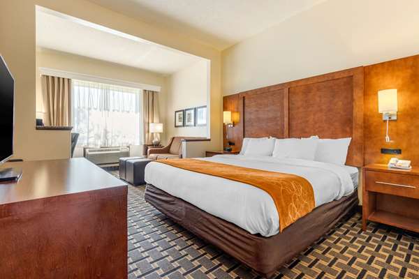 Suite - Comfort Inn Summerville - I-26, Exit 199A