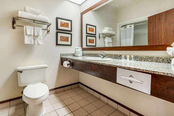 Suite - Comfort Inn Summerville - I-26, Exit 199A