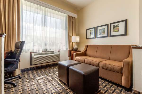 Suite - Comfort Inn Summerville - I-26, Exit 199A