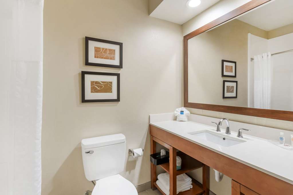 COMFORT INN SUMMERVILLE - CHARLESTO-guestroom-Guest Room,Bathroom,On-Site.jpg