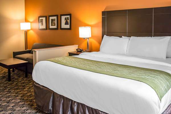 Suite - Comfort Suites Bluffton