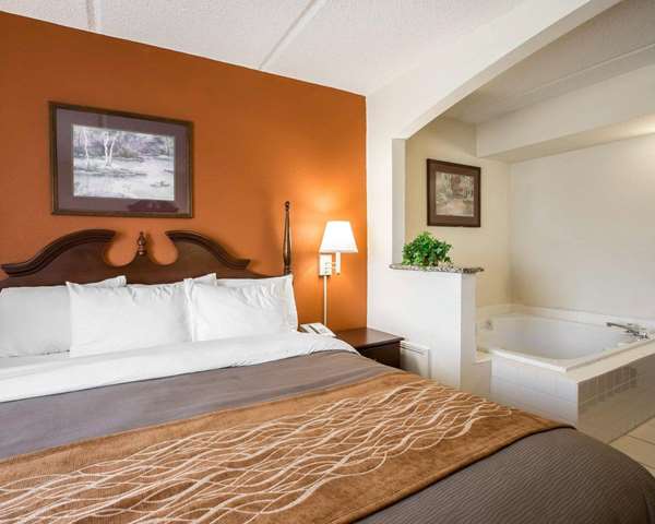 Suite - Comfort Inn & Suites Spartanburg - I-85, Exit 75