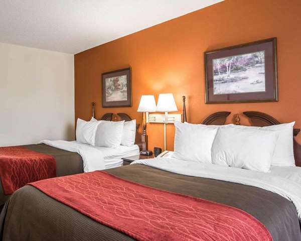 Suite - Comfort Inn & Suites Spartanburg - I-85, Exit 75