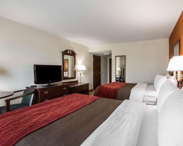 Suite - Comfort Inn & Suites Spartanburg - I-85, Exit 75