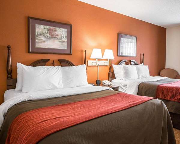 Suite - Comfort Inn & Suites Spartanburg - I-85, Exit 75
