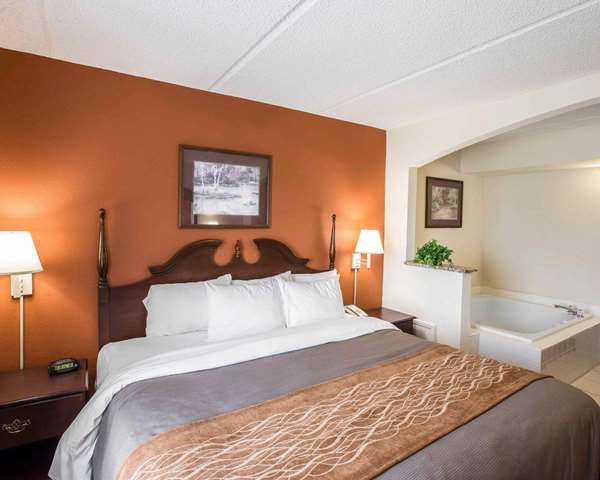 Suite - Comfort Inn & Suites Spartanburg - I-85, Exit 75