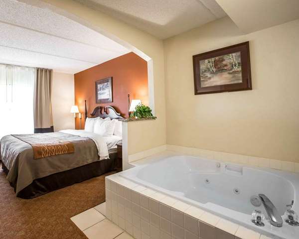 Suite - Comfort Inn & Suites Spartanburg - I-85, Exit 75