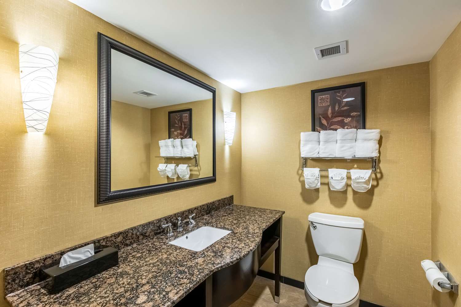 Comfort Suites Lexington Sc See Discounts