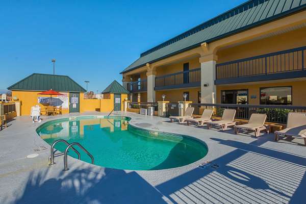 Pool - Quality Inn & Suites Civic Center Florence - I-95, Exit 160