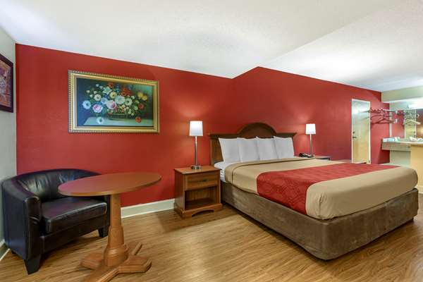 Suite - Econo Lodge Inn & Suites Lugoff