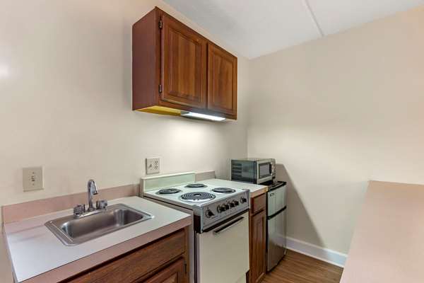 Suite - Econo Lodge Inn & Suites Lugoff