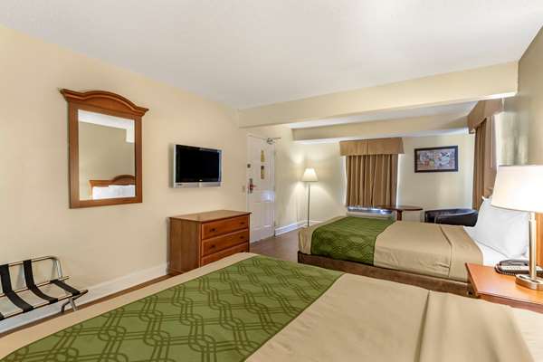 Suite - Econo Lodge Inn & Suites Lugoff