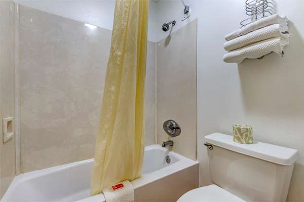 Suite - Econo Lodge Inn & Suites Lugoff