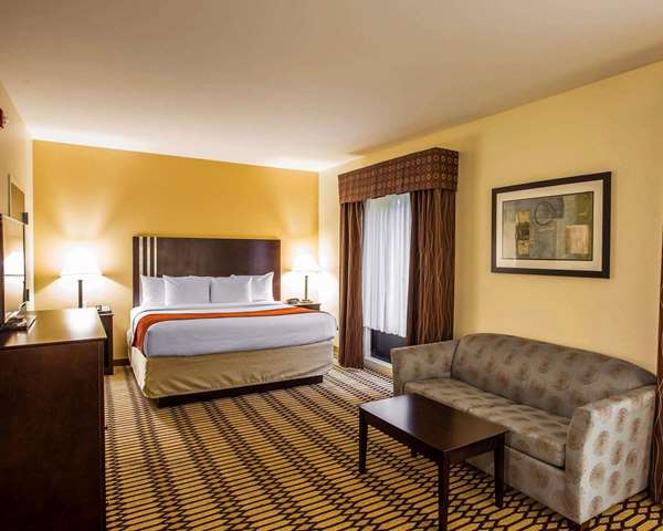  - Comfort Suites Simpsonville - I-385, Exit 26