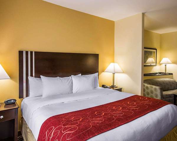  - Comfort Suites Simpsonville - I-385, Exit 26