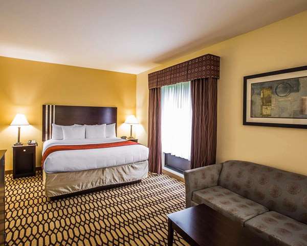  - Comfort Suites Simpsonville - I-385, Exit 26