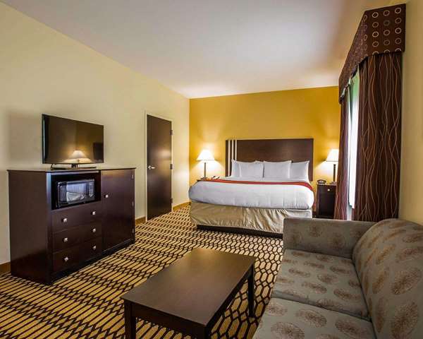  - Comfort Suites Simpsonville - I-385, Exit 26