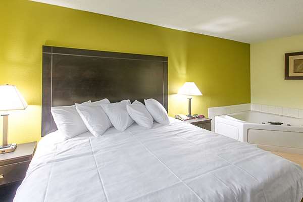 Suite - Clarion Inn Airport West Columbia - I-26, Exit 111B
