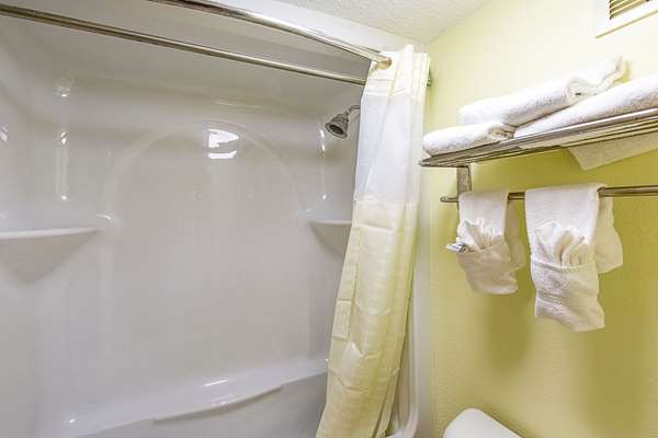 Suite - Clarion Inn Airport West Columbia - I-26, Exit 111B