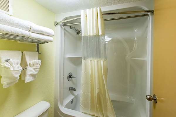 Suite - Clarion Inn Airport West Columbia - I-26, Exit 111B