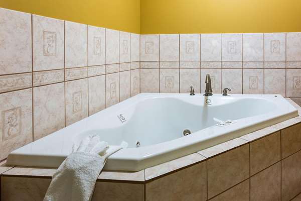 Suite - Comfort Inn Columbia - I-26, Exit 108A