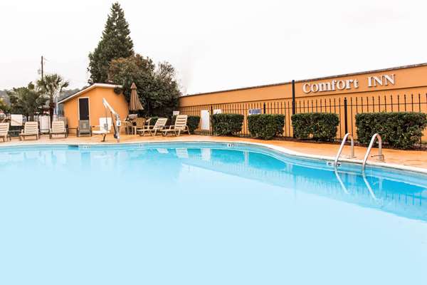 Pool - Comfort Inn Columbia - I-26, Exit 108A