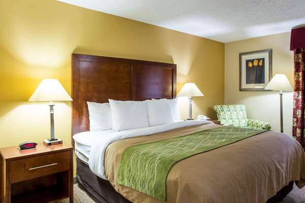 Suite - Comfort Inn Columbia - I-26, Exit 108A