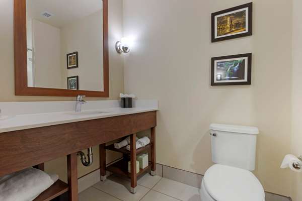  - Comfort Suites Piedmont - I-85, Exit 40