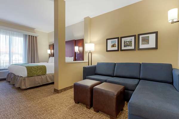  - Comfort Suites Piedmont - I-85, Exit 40