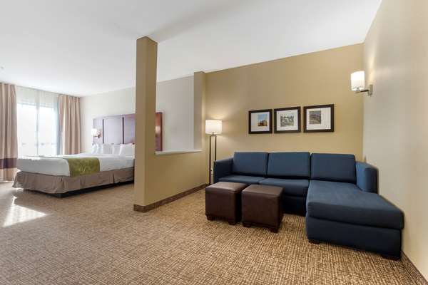  - Comfort Suites Piedmont - I-85, Exit 40