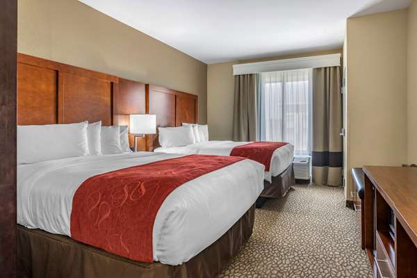 Suite - Comfort Suites Florence - I-95, Exit 164
