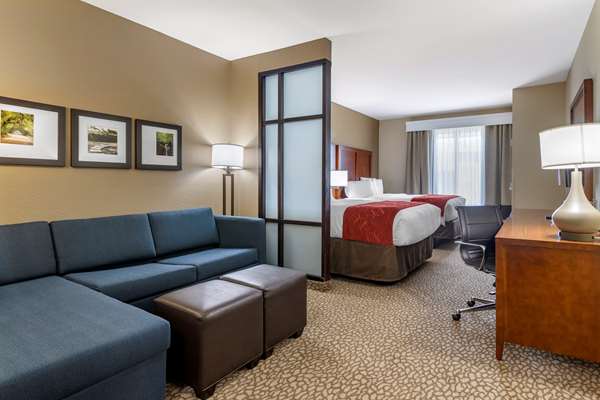 Suite - Comfort Suites Florence - I-95, Exit 164