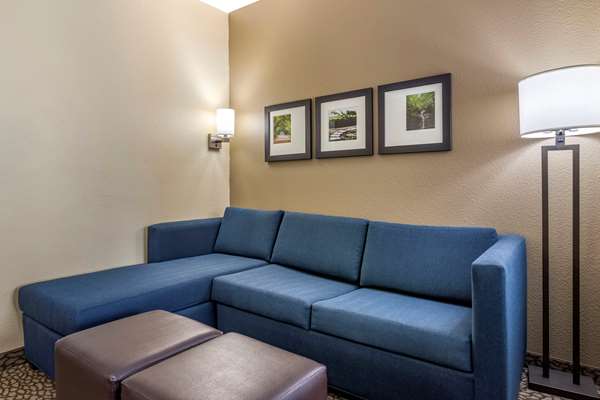 Suite - Comfort Suites Florence - I-95, Exit 164