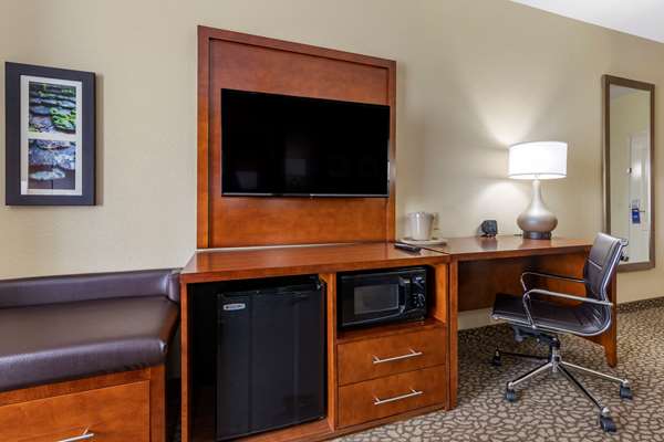 Suite - Comfort Suites Florence - I-95, Exit 164