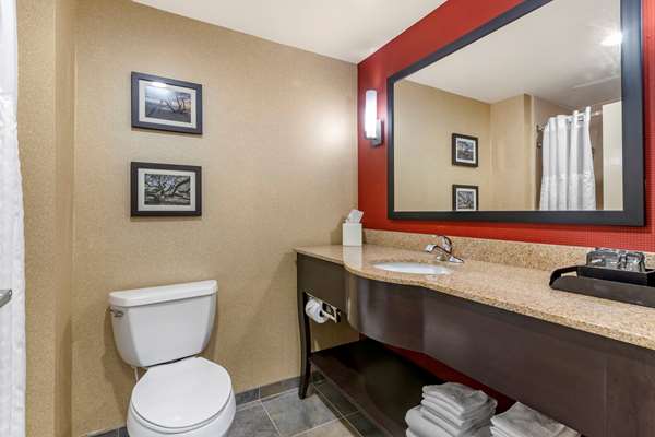 Suite - Comfort Suites Florence - I-95, Exit 164
