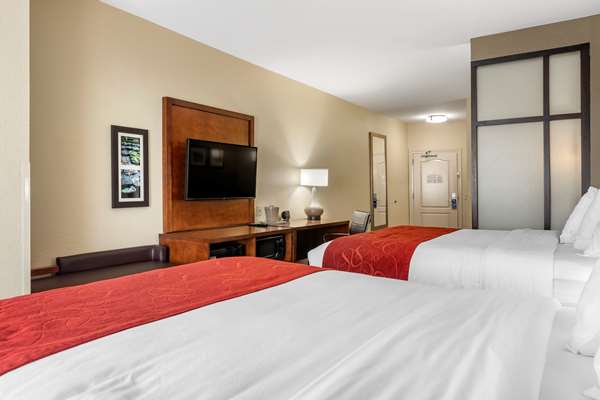 Suite - Comfort Suites Florence - I-95, Exit 164