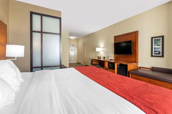 Suite - Comfort Suites Florence - I-95, Exit 164