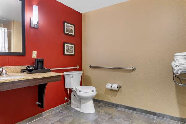 Suite - Comfort Suites Florence - I-95, Exit 164