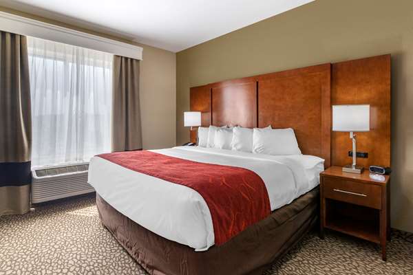 Suite - Comfort Suites Florence - I-95, Exit 164
