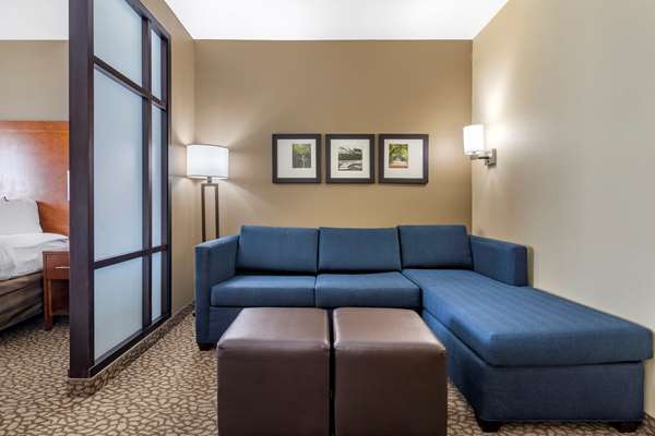 Suite - Comfort Suites Florence - I-95, Exit 164