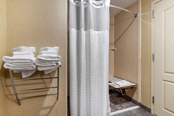 Suite - Comfort Suites Florence - I-95, Exit 164