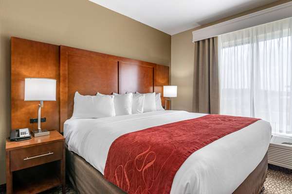 Suite - Comfort Suites Florence - I-95, Exit 164