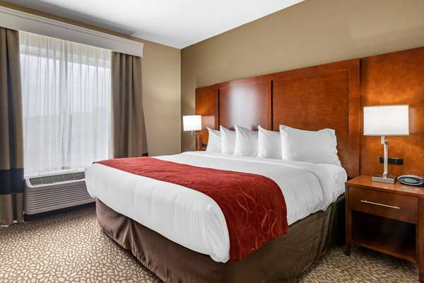 Suite - Comfort Suites Florence - I-95, Exit 164
