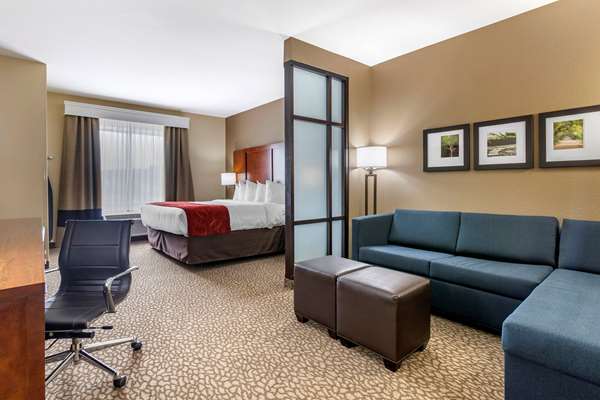 Suite - Comfort Suites Florence - I-95, Exit 164