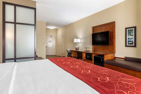 Suite - Comfort Suites Florence - I-95, Exit 164