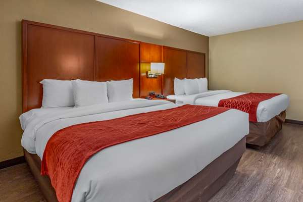  - Comfort Inn Carowinds Fort Mill - I-77, Exit 90