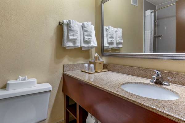  - Comfort Inn Carowinds Fort Mill - I-77, Exit 90