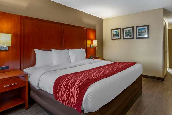  - Comfort Inn Carowinds Fort Mill - I-77, Exit 90
